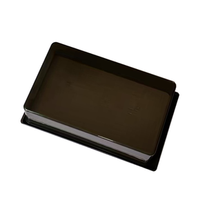 Plastik Pet kutusu sürüngen kutusu yılan muhafazaları kafesleri teraryum sürüngen yetiştiriciliği kuluçka konteyner - Product Image 3