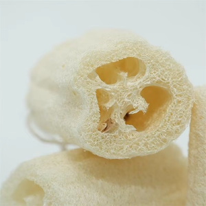 Gentle Skincare Cut Loofah Sponge Sustainable Natural <strong>Scrubs</strong> for Bath Shower Biodegradable Loofa Sponges - Product Image 5