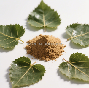 कारखाने की आपूर्ति जेनेहैम ब्रांड डीएनज 8% जैविक प्रमाणित खाद्य ग्रेड शहतूत पत्ती निकालने वाला थोक कर/ड्रम/बोतल पैकेजिंग - Product Image 3