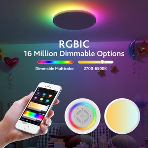 Binnen Oppervlak Gemonteerd Led Smart Plafondlamp 24W Rgb Compatibel Met Tuya App <span class=keywords><strong>Flush</strong></span> <span class=keywords><strong>Mount</strong></span> Plafond Armatuur