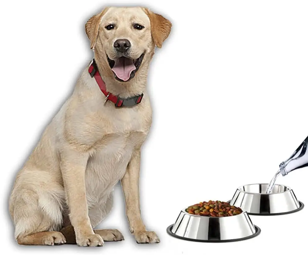 สเตนเลสสตีล Hund Chien สำหรับสัตว์เลี้ยง,ถ้วยให้อาหารสุนัขแมวอุปกรณ์เสริมอาหารสุนัข
