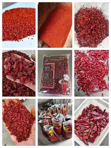 Piments <span class=keywords><strong>Carolina</strong></span> Reaper super piquants, piments du Yunnan en Chine, vente en gros pour la transformation alimentaire, marque LUCKY CHILLI - Product Image 4