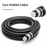 Câble chauffant électrique antidéflagrant en aluminium de haute qualité YJLV pour usage industriel, isolation nue, souterrain, 250V 1*0.5mm