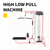 Station de musculation robuste à charges réglables pour exercices de tirage vertical, de tirage horizontal et de musculation des lombaires assis