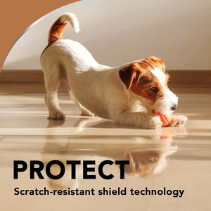 Huile de cire pour <span class=keywords><strong>bois</strong></span> à base d'eau écologique, faible odeur, imperméable, résistante à l'usure, séchage rapide, revêtement pour la protection des meubles et des sols en <span class=keywords><strong>bois</strong></span> - Product Image 2