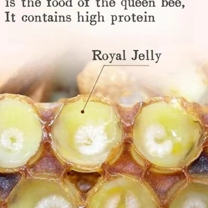 Gelée royale liquide pure et biologique OEM ODM sous marque privée, complément de gelée royale au ginseng pour l'immunité des adultes et des femmes enceintes - Product Image 2