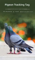 Promotion : Traceur GPS ultra-léger 3,9g pour pigeons et perroquets, compatible multi-systèmes avec carte SIM, autonomie ultra-longue, pour le suivi d'oiseaux et d'animaux de compagnie