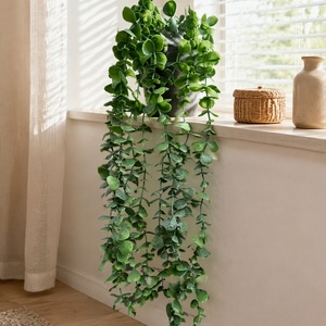 <span class=keywords><strong>Piante</strong></span> Artificiali Pendenti in Vaso, Finte <span class=keywords><strong>Piante</strong></span> di Eucalipto Mandala, Decorazioni Verdi per Interni ed Esterni, Casa, <span class=keywords><strong>Ufficio</strong></span>, Mensole e Pareti - Product Image 2