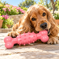 Jouet à mâcher pour chien en TPR, jouet en caoutchouc texturé pour le nettoyage des dents, le massage des gencives et le jeu
