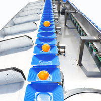 Automatische milieuvriendelijke sorteermachine voor groenten en fruit met sensortechnologie