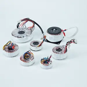 Transformador Toroidal com Acessórios 50W 100W 200W 300W 500W 1000W 2000W 3000W 5000W Amplificador de Áudio Transformador Toroidal