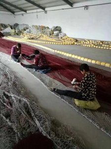 Usine Commercial Purse Seine Net <span class=keywords><strong>pour</strong></span> la pêche au <span class=keywords><strong>thon</strong></span> - Product Image 5