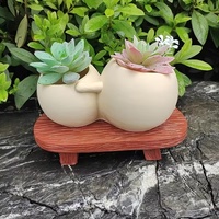 Nouveau pot de fleurs créatif et mignon à double siège, style américain, pour bureau à domicile, modèle 6, pour plantes succulentes