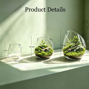 Hochtransparente Desktop-Glas-Terrarien für Pflanzen, Schrägformiges Terrarium-Glas, Geeignet für Sukkulenten, Moos, Butterwurz, Farn - Product Image 2