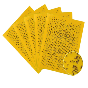 Trampa Adhesiva Amarilla de Doble Cara Ecológica Personalizada con Pegamento Fuerte para Moscas, para Granjas, Huertos, Invernaderos, Interiores y Exteriores - Product Image 1