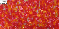 Feuille d'acétate de cellulose de jade imitée rouge de 2.5MM pour peigne à cheveux, lunettes lampes décorations