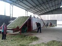Energiezuinige koffiebonen droogmachine - continue transportbanddroger met slimme temperatuurregeling