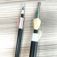 Youdlan M ADSS FRP blindé Rat et fourmi prévention 6 12 48 96core câble à fibre optique monomode extérieur