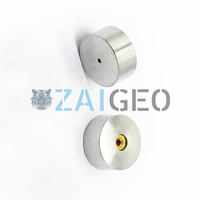 520005733 520005732 520005733 520005732 Wasserstrahl düse Dardi Ruby Sapphire Orifice Wasserstrahl Ersatzteil zubehör Ersatz
