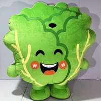 Costume de mascotte gonflable personnalisé en forme de chou-fleur de dessin animé, en tissu Oxford, accessoires de performance gonflables super doux pour adultes