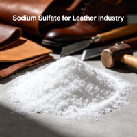 Sulfate de sodium à prix usine, produit chimique très demandé pour le tannage du cuir