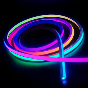10*10mm Smart RGB Pixel puro Silicone luce <span class=keywords><strong>al</strong></span> <span class=keywords><strong>Neon</strong></span> 12V impermeabile Flex Led luce <span class=keywords><strong>al</strong></span> <span class=keywords><strong>Neon</strong></span> per decorazione interna esterna - Product Image 1