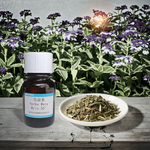 สารสกัดชาเขียวคั่วเกรดอาหารจากอินเดีย ชนิดน้ำ บริกซ์ 38 เครื่องดื่มสมุนไพรธรรมชาติ วิตามิน สารสำคัญ บรรจุขวด - Product Image 2