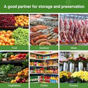 Contenedor Congelador Industrial para Patatas con Capacidad de Refrigeración Comercial de 10, 20, 30, 40, 50, 100, 300 Toneladas para Almacenamiento en Cámaras Frigoríficas - Product Image 6