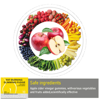 Gummies Bonbons Efficaces Probiotiques Fibres Alimentaires Détoxification Brûleur de Graisse Corporelle Ventre Plat Minceur Perte de Poids