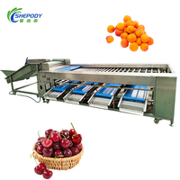 Shepody Automatische Fruit Blauwe Bes Kersen Sorteermachine Vibratie Sorteer- en Verpakkingsapparatuur Diepvries Aardbeien Formaat Sorteermachine