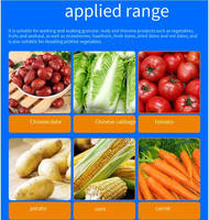 Ligne Ananas Orange Mangue Ail Pomme Laveuse Tomate Pommes Machine À Laver