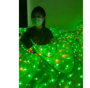 Kostum Pertunjukan Panggung Tari Bunga LED Mewah untuk Gadis, Parade, Festival, Acara Hiburan - Product Image 5