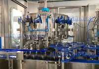Machine de remplissage et de scellage entièrement automatique pour canettes en aluminium de 330 ml, 350 ml et 500 ml pour boissons gazeuses