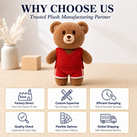 Ours en peluche personnalisé OEM ODM avec logo couleur, rembourrage en coton PP écologique, animal en peluche brodé pour cadeau d'anniversaire