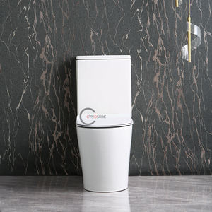 Juego de Inodoro de Cerámica de Dos Piezas con Sifón en P, Estilo Moderno, Estándar Europeo 2026, Último Modelo - Product Image 2