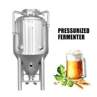 Cuve de Fermentation de Bière MICET 200L 250L, Équipement de Brasserie Artisanale, Cuve de Stockage en Acier Inoxydable, Unitank