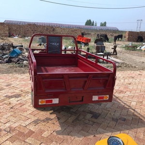 3 Wheel Motorcycle for Cargo Adult in China Adults Truck Taxi 1200w 250w <b>Passenger</b> Eec <b>2</b> People Gasoline Van Electric Tricycle - Product Image 6