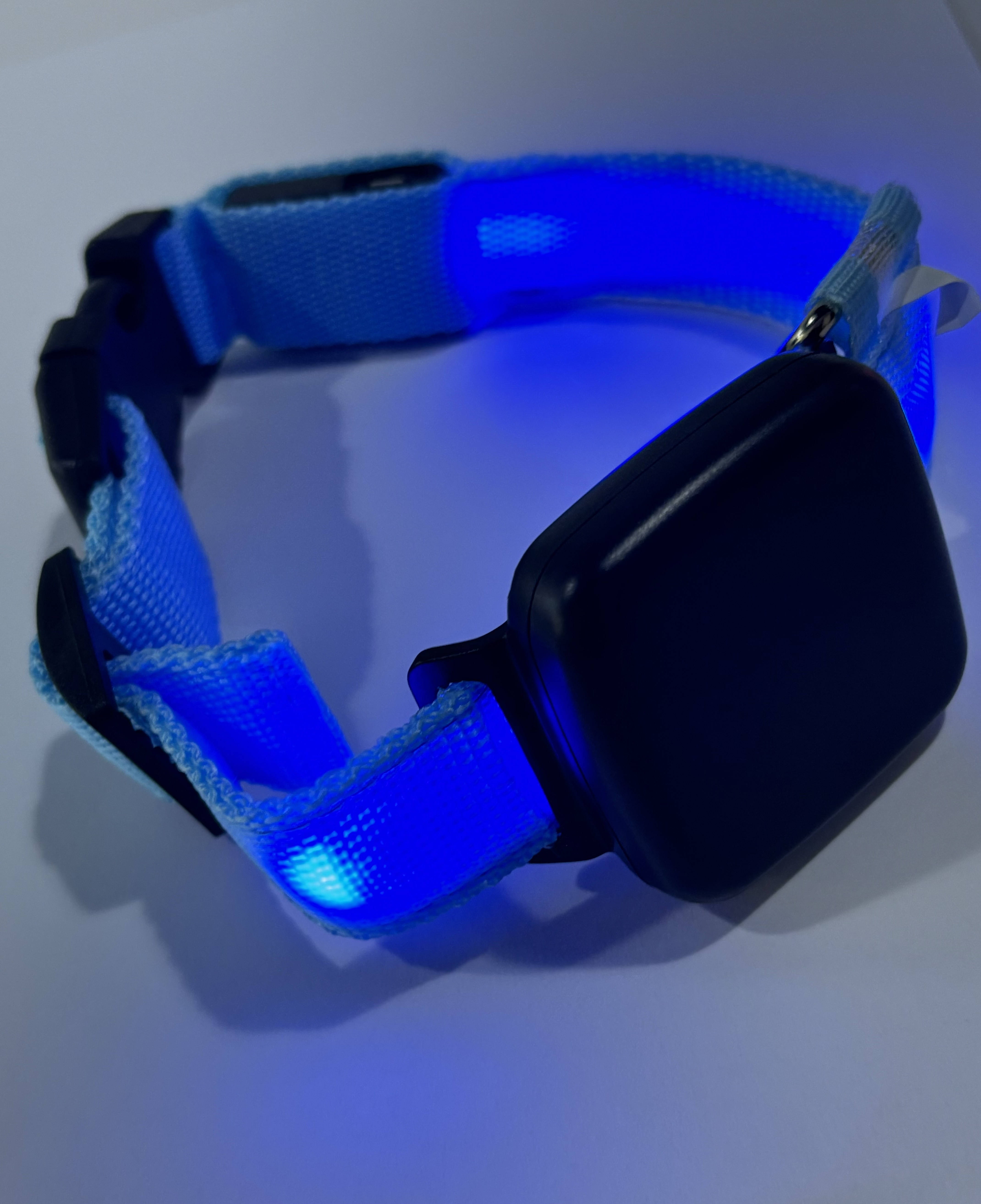 Black + IoT card + collor