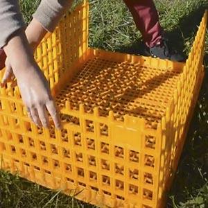 Tavuk ördek için kanatlı taşıma kafesi havalandırmalı istiflenebilir plastik kanatlı kasalar - Product Image 3