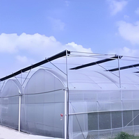 Serre agricole en polycarbonate multi-spans bon marché pour la culture de fraises