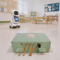 Paquete de Baterías LiFePO4 de 24V 100Ah para Robots de Hostelería, para Robot de Recepción de Hotel, Alta Seguridad, Larga Duración, Venta al por Mayor de Fábrica OEM ODM