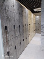 Casiers en acier Youbai assemblés avec serrures électroniques et à clé pour employés, usage en salle de sport, entrepôt ou centre commercial
