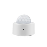 Sensor PIR Zigbee con Soporte, Control Automático Día/Noche, Compatible con Ewelink para Iluminación Vial