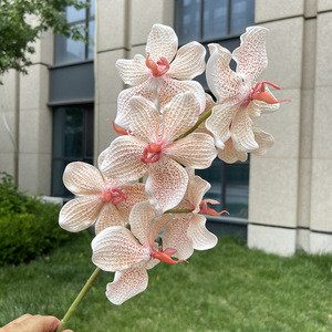 Orchidées Phalaenopsis <span class=keywords><strong>Vanda</strong></span>, 9 têtes, fleurs artificielles imprimées en 3D pour la décoration de mariage, de la maison et la photographie - Product Image 3