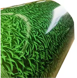 Bobina de Acero Galvanizado Prepintado en Oferta, Rollo de Acero PPGI Dx51D Dx52D, Productos Galvanizados y Galvalume de <span class=keywords><strong>Color</strong></span> - Product Image 3