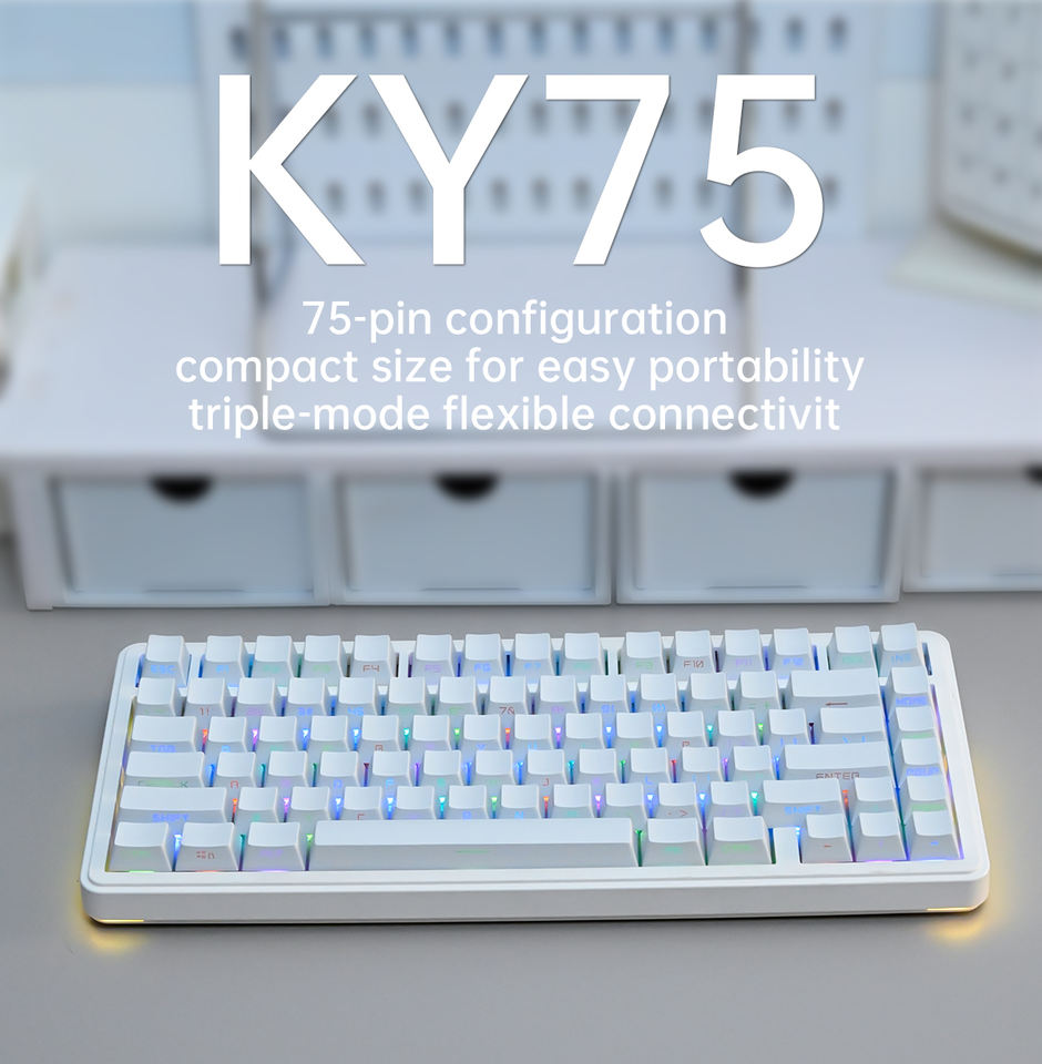 KY75 Mechanical Keyboard-75-Key RGB Backlit Wireless/USB 2.4GHz ...