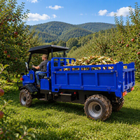 Transporteur agricole diesel haut de gamme de 2-3 tonnes avec traction 4x4 et benne hydraulique pour l'agriculture et le transport rural