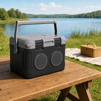 Glacière portable multifonction moderne 21L avec haut-parleurs pour camping en extérieur, voiture, marché nocturne, stand - Matériau PU pour la conservation des canettes