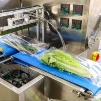 Machine d'emballage automatique HAOYUAN HY-680 pour fruits frais, carottes, légumes, salades, avec ensacheuse de type oreiller et trois servomoteurs