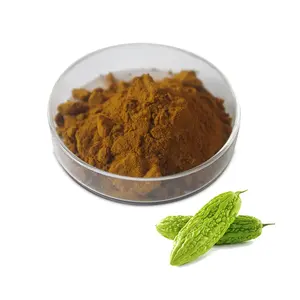 Food grade Momordica Charantia85% Bitter Melon Extract Powder Polypeptide Bitter Gourd Peptide